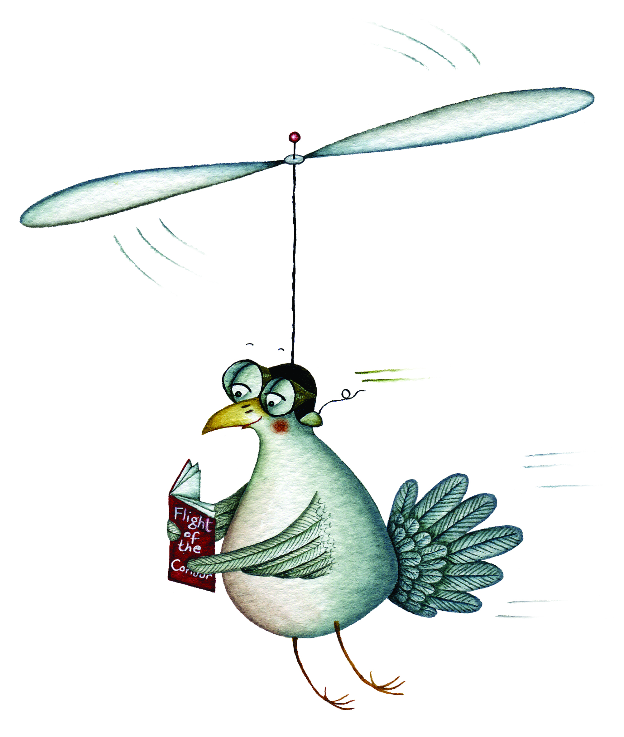 Helicopter bird