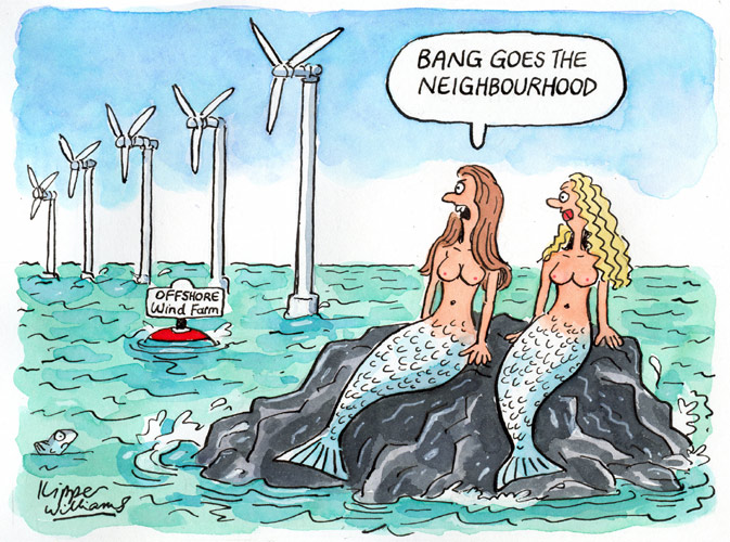 Mermaids windfarm