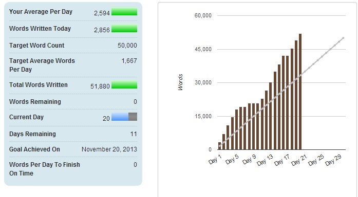 NaNoWriMo