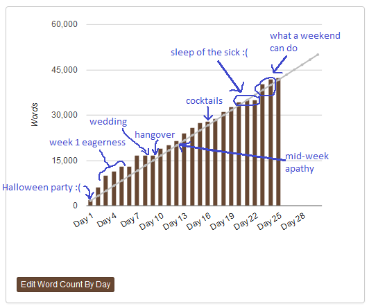 NaNoWriMo