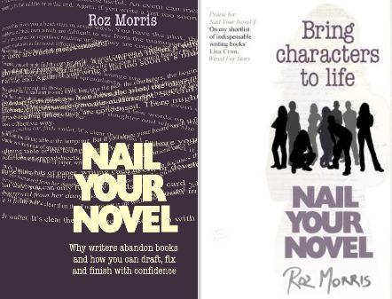 Nail your Novel book covers