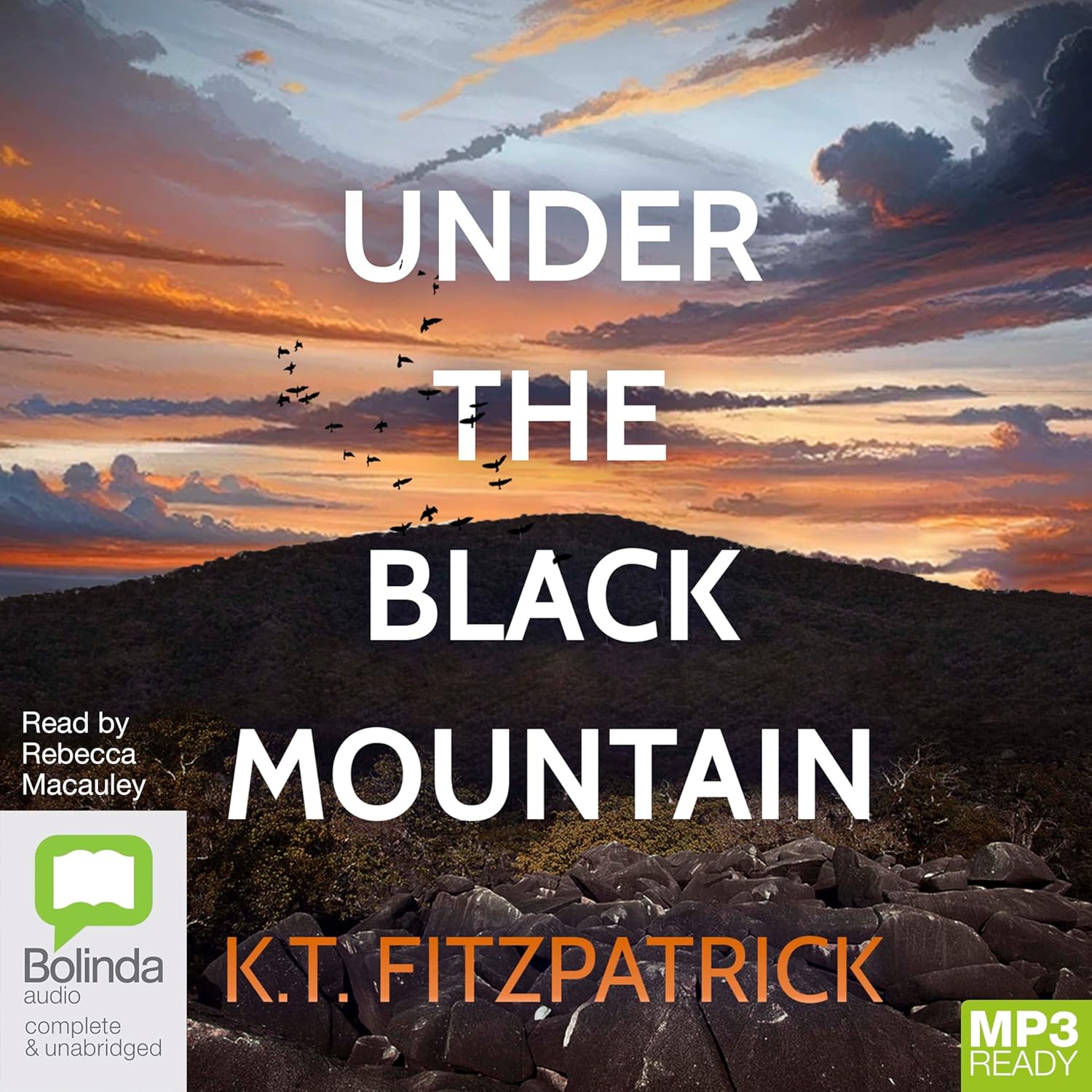 Under the Black Mountain by K.T. Fitzpatrick