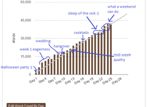 NaNoWriMo