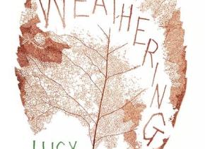 Lucy Wood Book Cover 