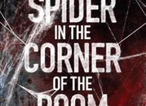 The Spider in the Corner of the Room